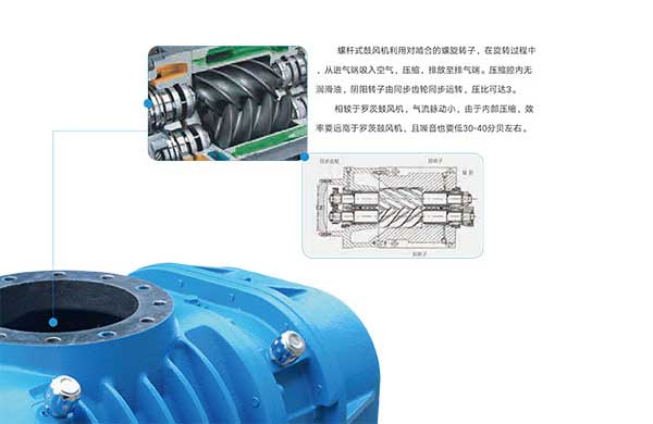 雅之雷(lei)悳-無(wu)油(you)螺(luo)桿皷(gu)風機(ji)-4