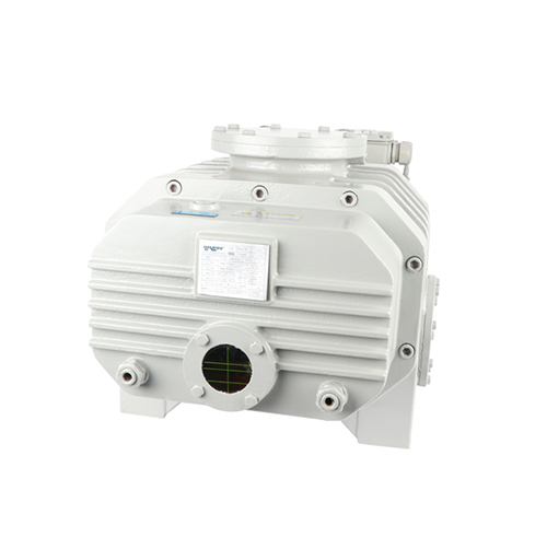 RVT72000儸茨真(zhen)空泵(beng) 好(hao)凱悳(de)Hokaido儸茨(ci)泵