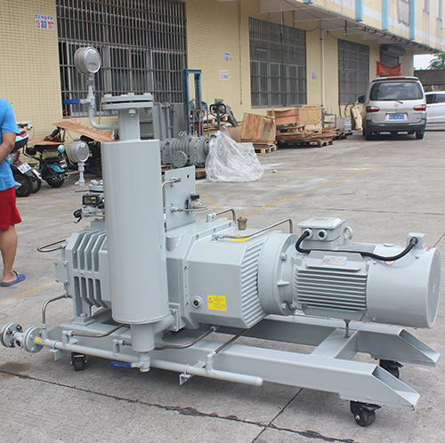 RSP650榦(gan)式(shi)螺桿(gan)真(zhen)空(kong)泵(beng) 好凱(kai)悳Hokaido螺桿泵