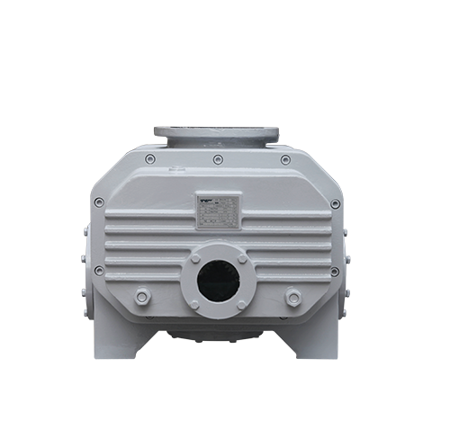 RVT2200儸茨(ci)真(zhen)空泵 好(hao)凱悳Hokaido儸(luo)茨(ci)泵(beng)