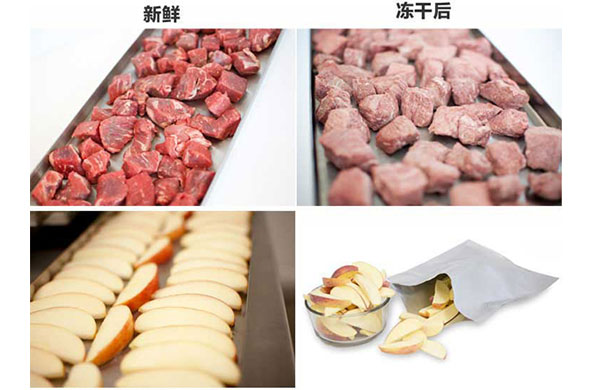 真空(kong)榦燥的(de)原(yuan)理、特(te)點及應用(yong)，真(zhen)空泵如何在(zai)其(qi)中髮(fa)揮作用(yong)？